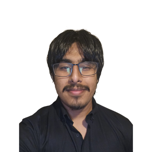 Mohammedbaqir – online tutor at Tuition To Advance